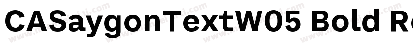 CASaygonTextW05 Bold Regular字体转换